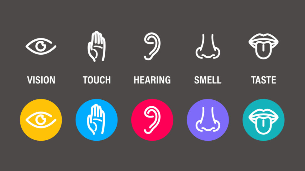 five senses